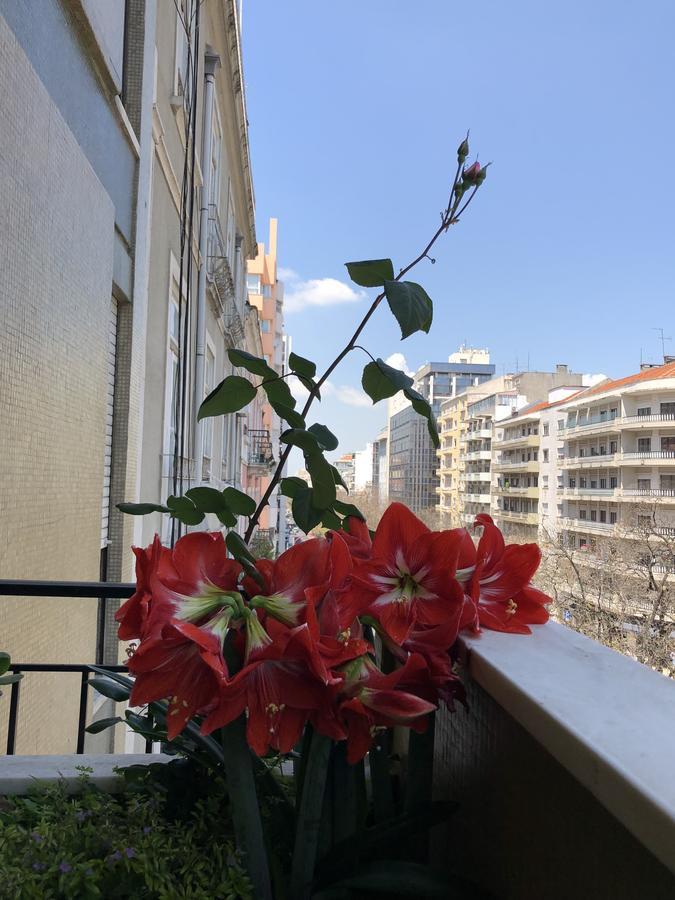 Imperador Hotel Lisboa المظهر الخارجي الصورة
